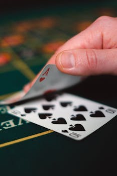 Casino-10455