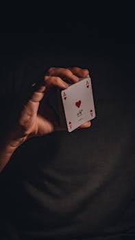 Casino-7882